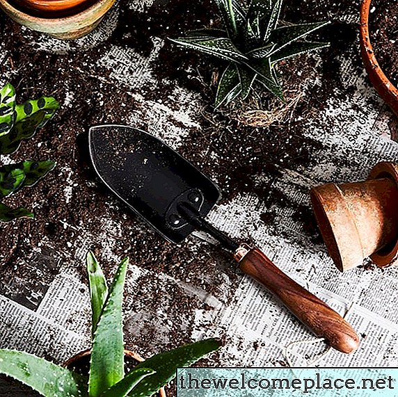 Estas herramientas de alta jardinería se convertirán incluso en el pulgar más negro