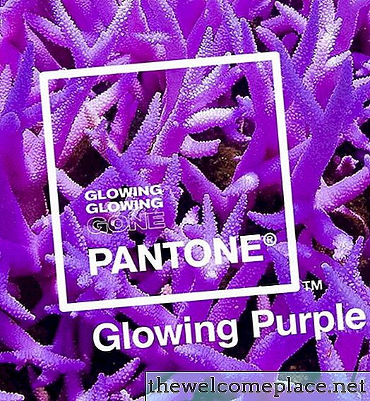 Tieto nové farby Pantone boli vytvorené na zvýšenie povedomia o koralových útesoch