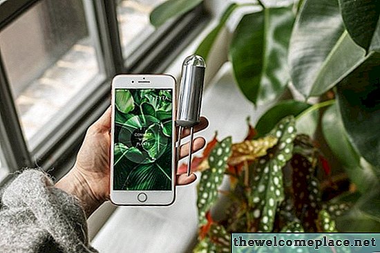 Acest gadget de plante de înaltă tehnică vă permite practic să vă textul plantelor