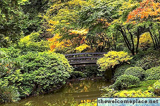 Tips for utforming av en japansk hage