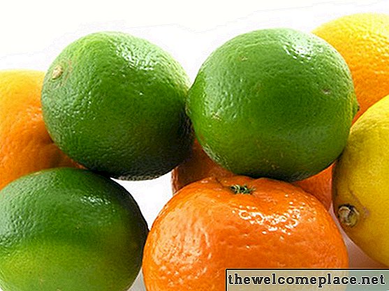 Soorten witte schimmel op citrusvruchten