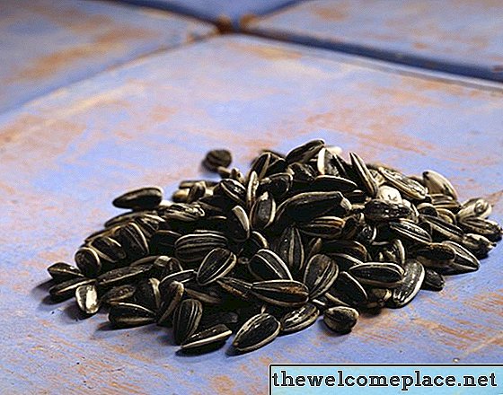 Usos para cascas de sementes de girassol