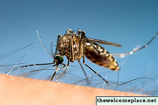 Ocat kao sredstvo protiv komaraca