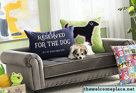 Wayfair hat eine neue Möbel- und Accessoires-Linie speziell für Haustiere