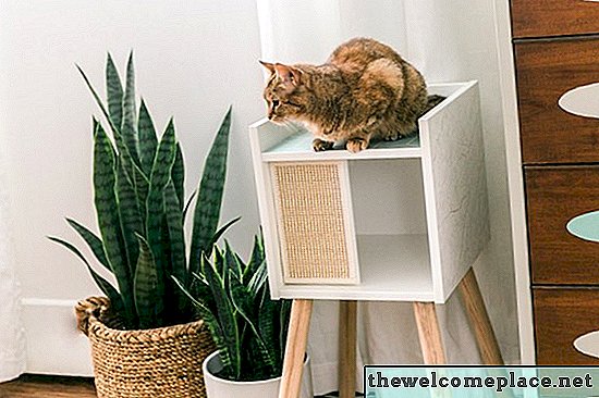 Kami MENJADI Rumah IKEA Lurvig Cat, Terutama Dengan Peningkatan Cute ini