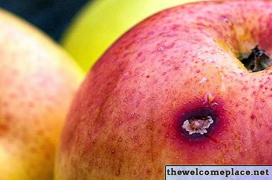 Kokios yra rudos dėmės obuolių odoje?