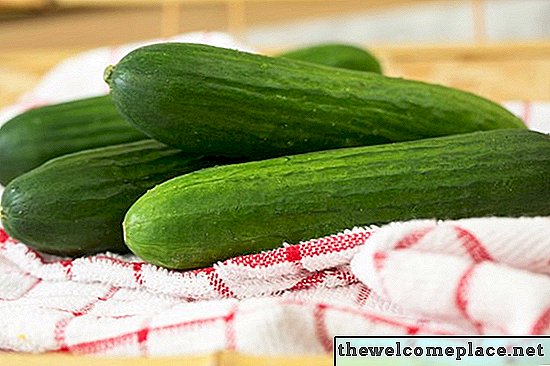 Wat zijn Perzische komkommers?