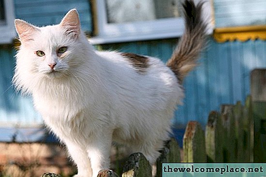 Шта могу ставити на своју ограду да мачке не би шетале њоме?