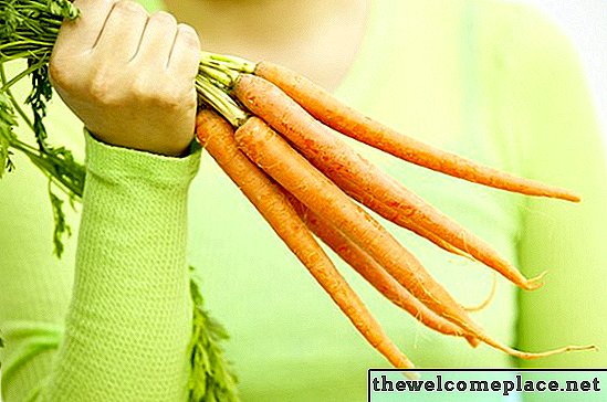Quelles sont les causes de ma carotte à être amer?