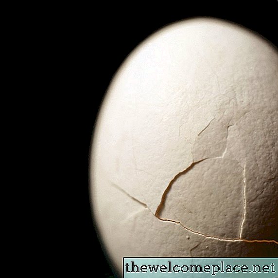 ماذا يحدث عندما تضع قشر البيض في الموقد؟