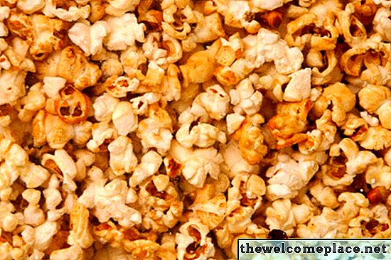 Was passiert, wenn meine Müllentsorgung mit Popcorn-Samen verstopft ist?
