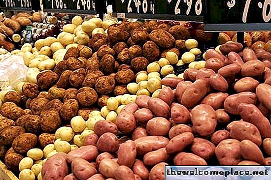 Kateri je najboljši krompir za cvrtje?