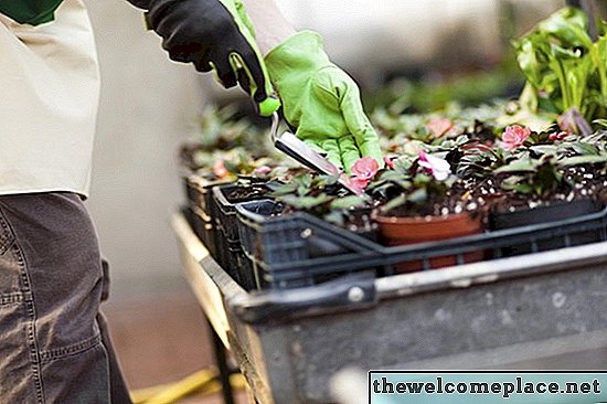 Qu'est-ce qu'un appartement de fleurs?