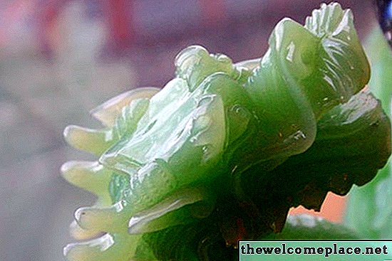 Qual é o significado de uma planta de jade?