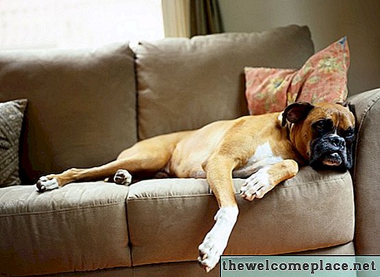 ¿Qué es un sofá de cuero que admite mascotas?
