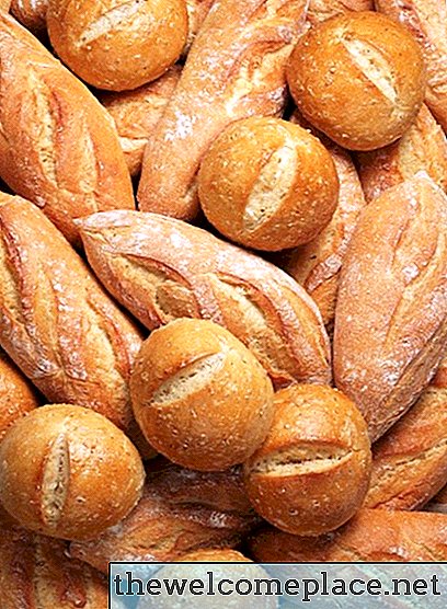 Kaj je plesen iz kruha?