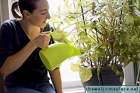 In welchen Flüssigkeiten wachsen Pflanzen am besten?