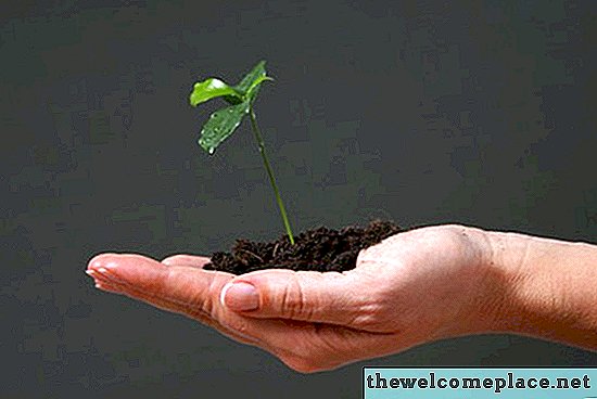 Какие материалы вам нужны, чтобы вырастить растение?