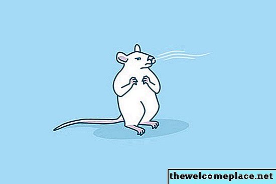 Hvilken duft frastøter mus?