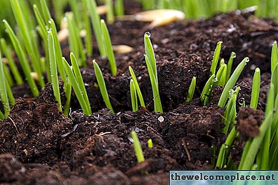 Čo pokryť nové trávové semeno