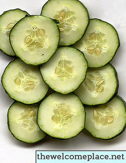Wat te doen met overtollige komkommers