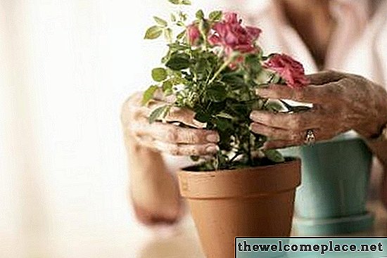 Quel type de colle utilisez-vous sur un pot de fleurs?