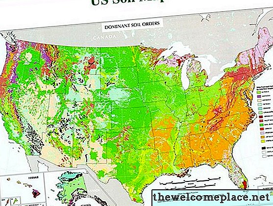 Kokio tipo dirvožemis yra Aliaskoje?