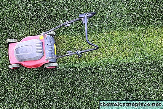 Bilakah Anda Boleh Mow Lawn After Fertilizing?