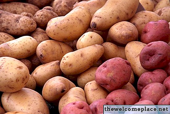 Hvornår skal jeg plante fald kartofler?
