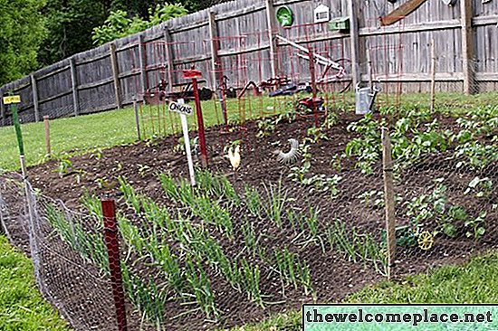 Când ar trebui să plantezi o grădină de legume în Michigan?