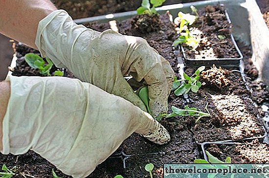 Πότε να φυτέψετε λαχανικά στην Πενσυλβανία