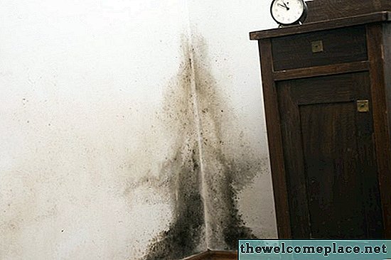 Por que minha casa tem um odor de mofo?
