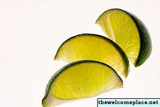 Θα χυμό Lime απαλλαγείτε από τους φλους;