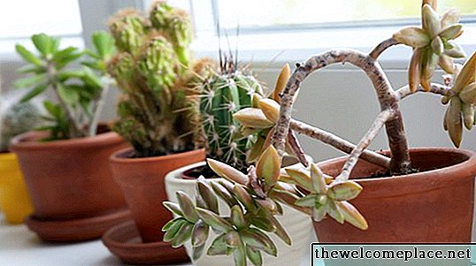 Windowsill موسع للنباتات