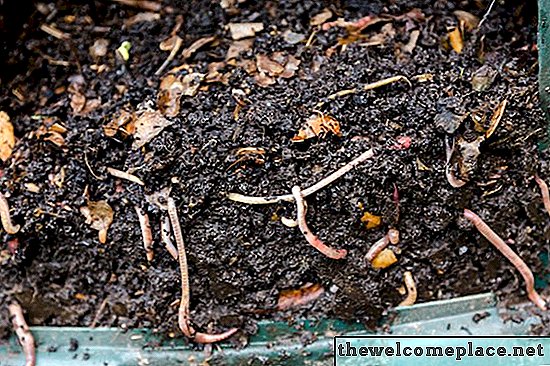 Червеево компостиране: Как да започнем