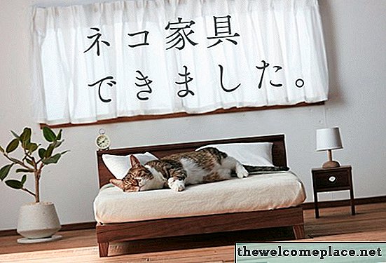 Vous pouvez maintenant acheter des meubles qui correspondent à votre chat